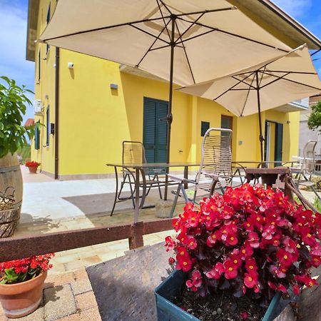 La Casa Del Vino - B&B Tollo Exteriér fotografie