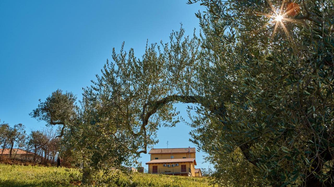 La Casa Del Vino - B&B Tollo Exteriér fotografie