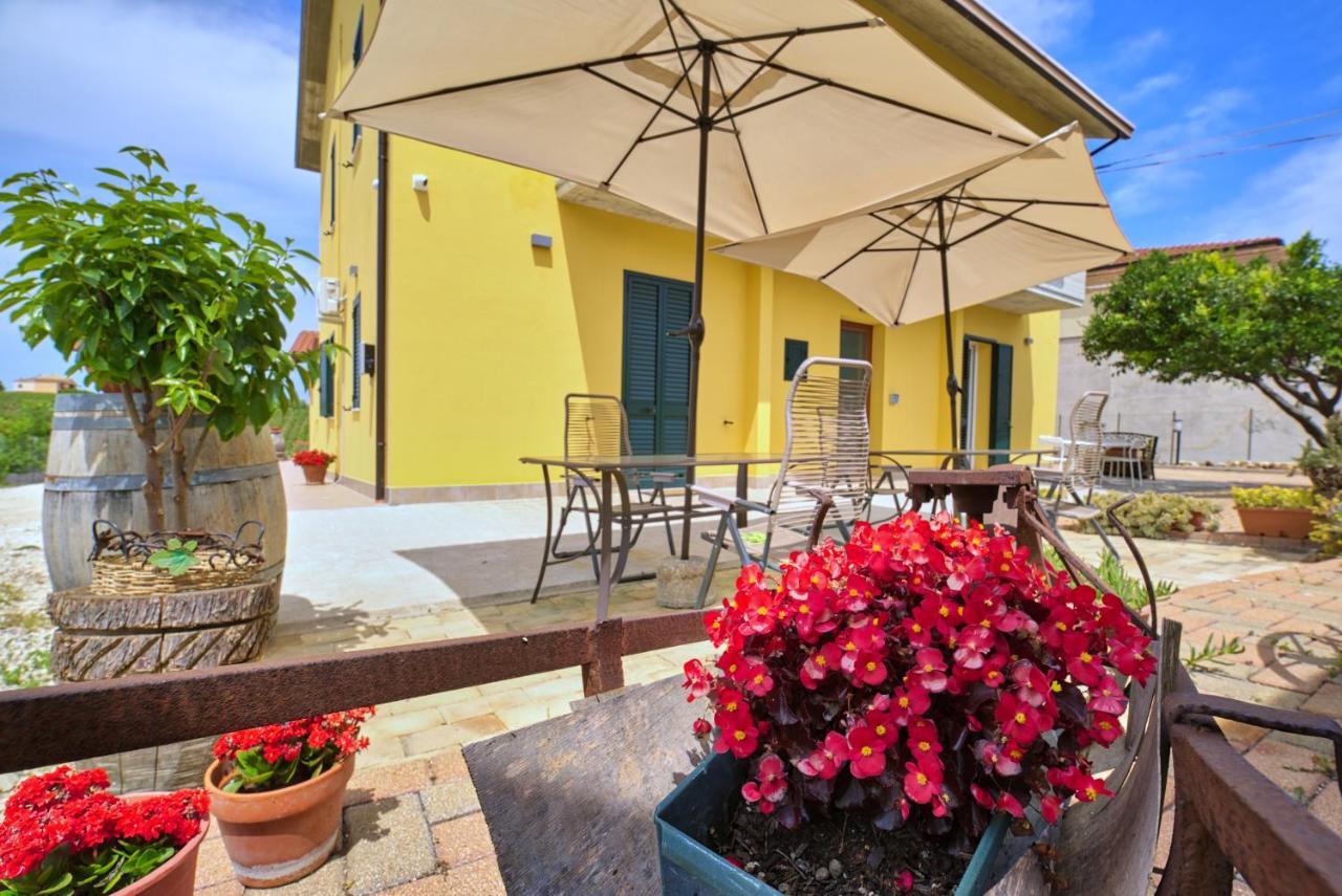 La Casa Del Vino - B&B Tollo Exteriér fotografie