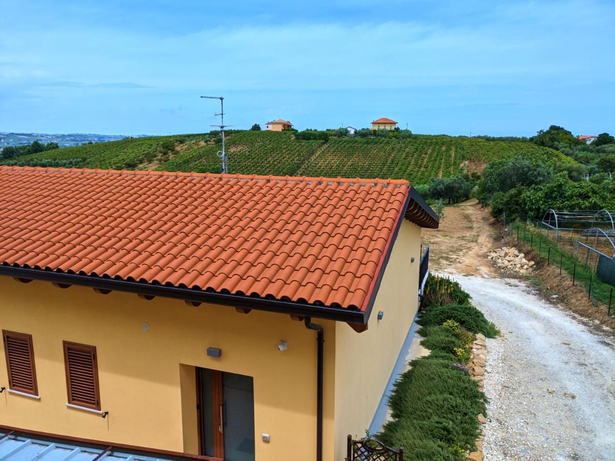 La Casa Del Vino - B&B Tollo Exteriér fotografie